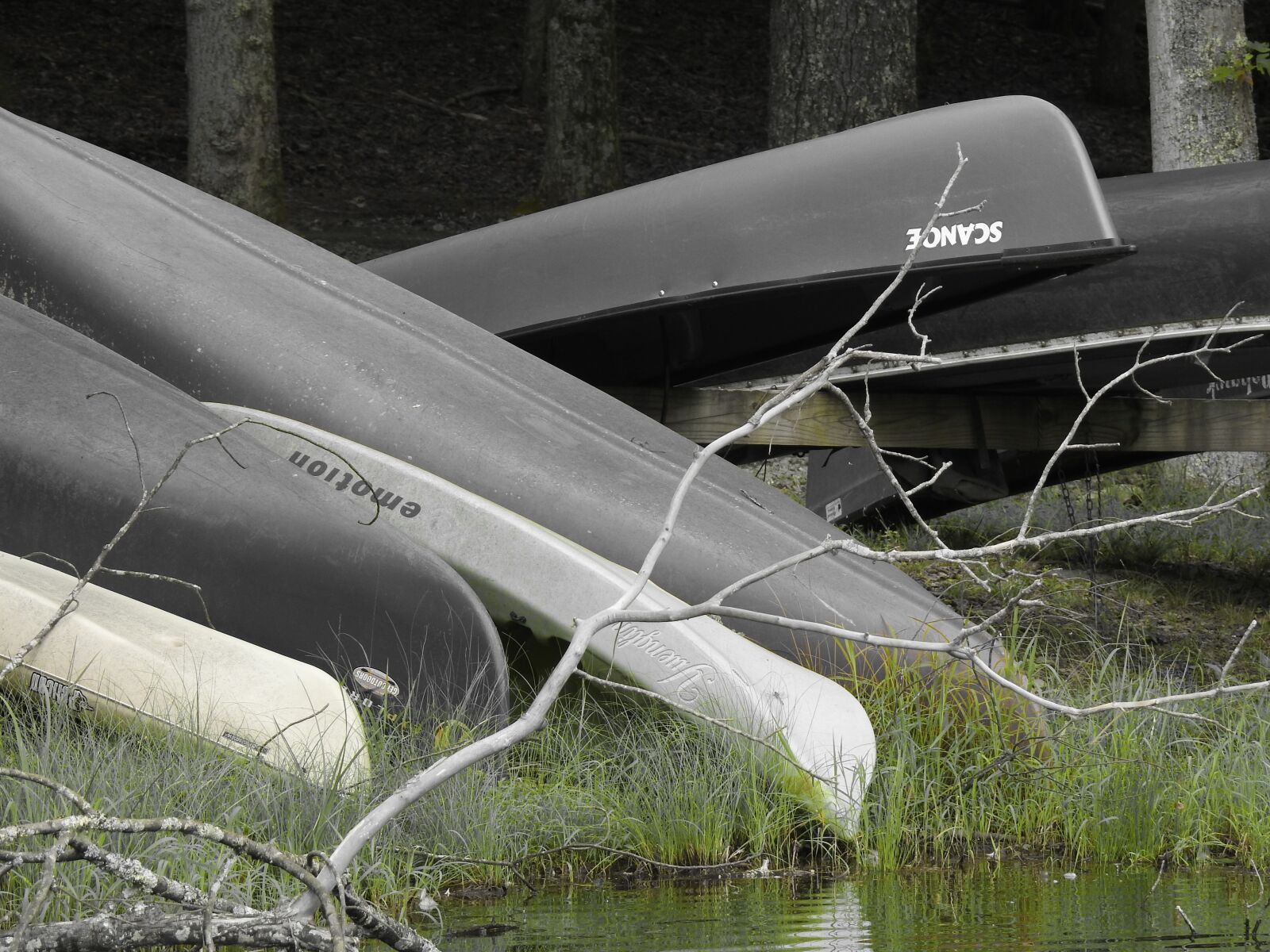 Nikon Coolpix P900 sample photo. Canoe, boat, water photography