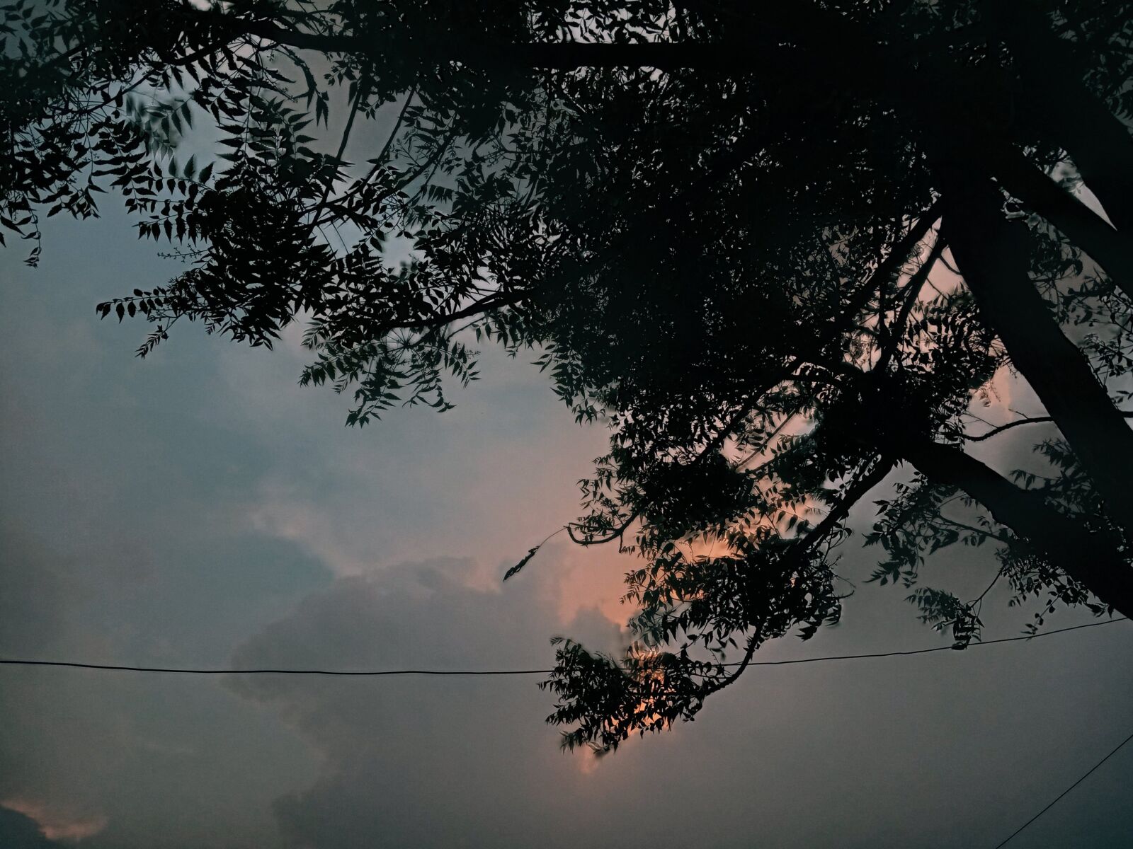 Xiaomi Redmi 6A sample photo. Passoverpalm, sundaymothersdayw, ebinarlockdownvideo photography