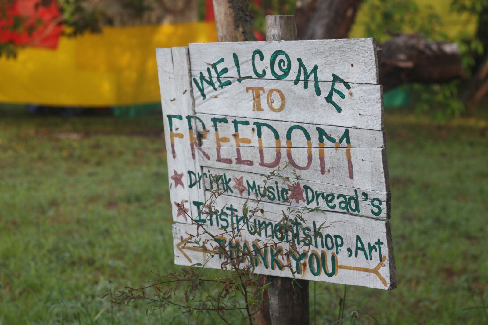 Canon EOS 450D (EOS Rebel XSi / EOS Kiss X2) sample photo. Freedom, vacations, joy photography