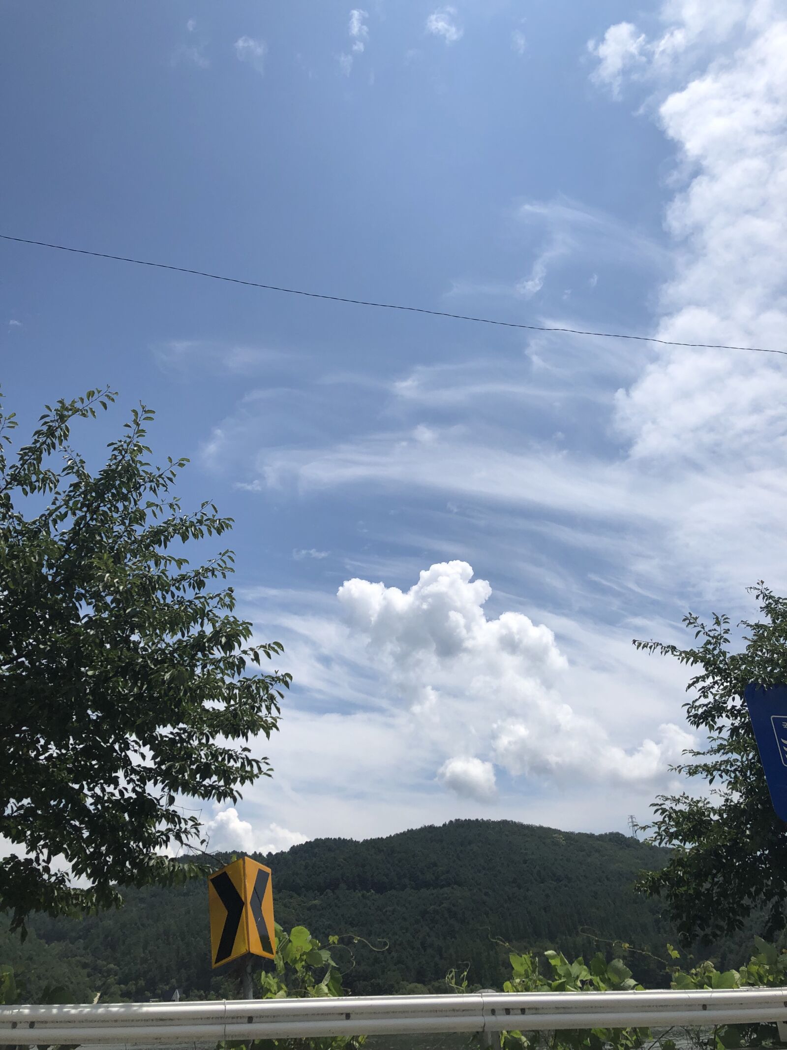 iPhone 8 Plus back dual camera 3.99mm f/1.8 sample photo. Sky, wood, scenery photography