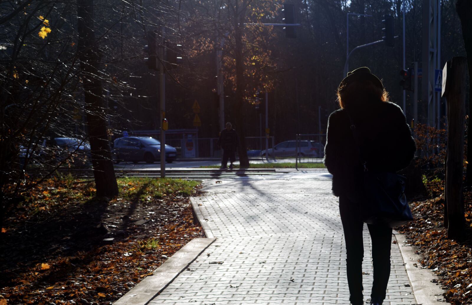 Nikon D5100 sample photo. Silhouette, person, woman photography