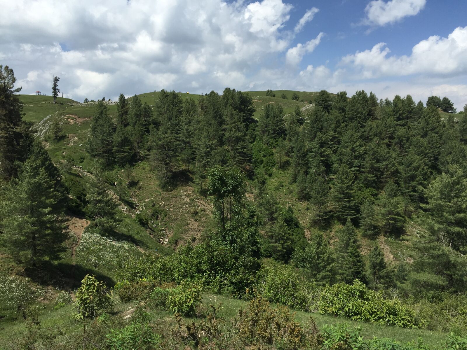 Apple iPhone 6 sample photo. Mountain landscape, outdoor, tree photography