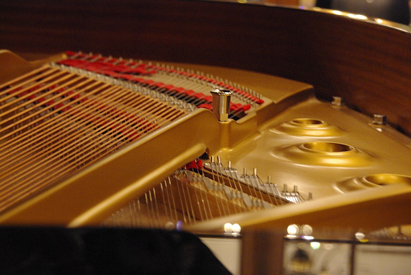 Pentax K200D sample photo. Piano strings, strings, piano photography