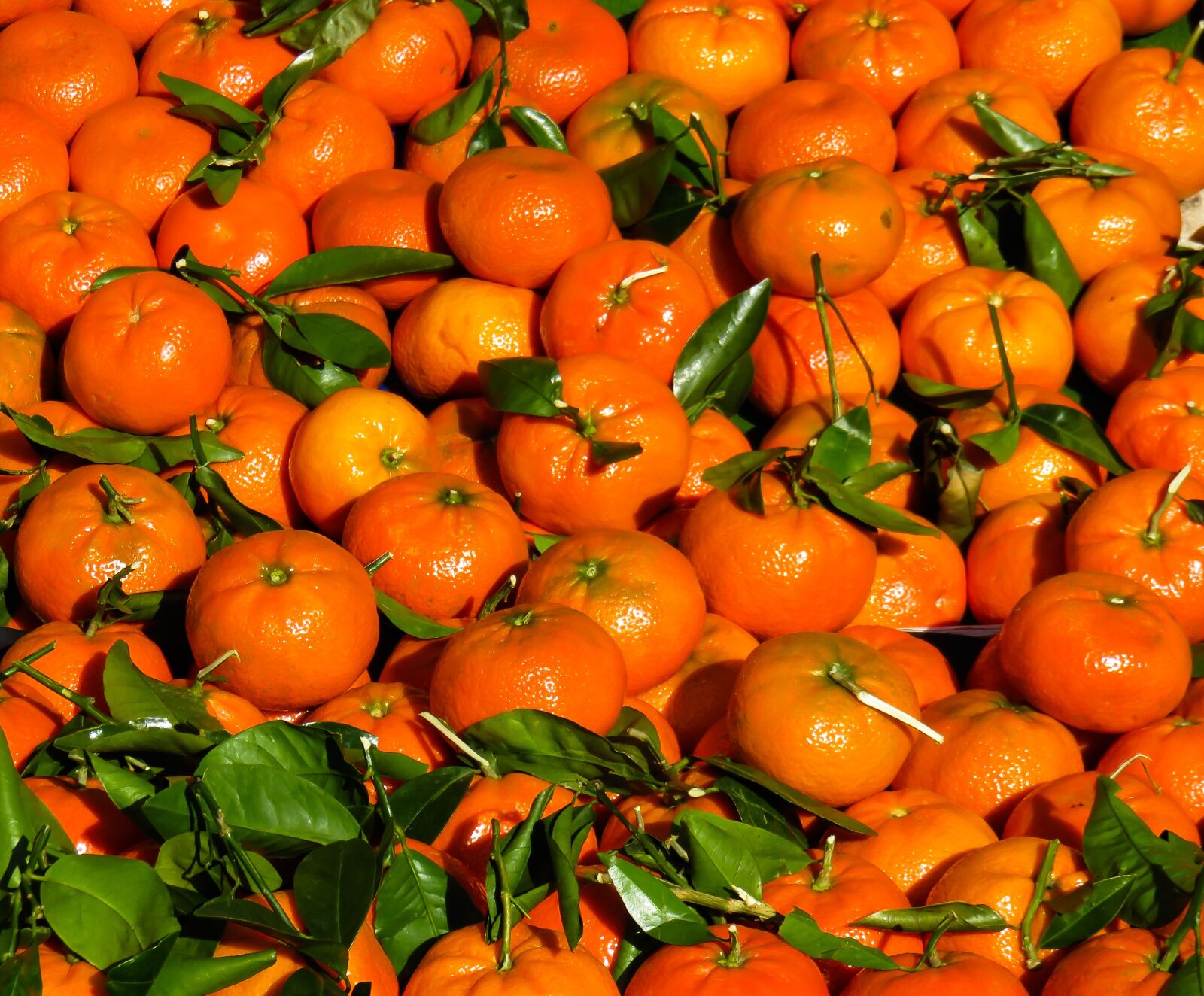 Canon PowerShot SX710 HS sample photo. Eat, tangerines, fruit photography