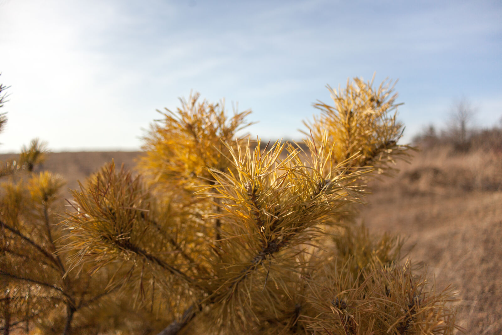 Canon EOS 5D Mark II sample photo