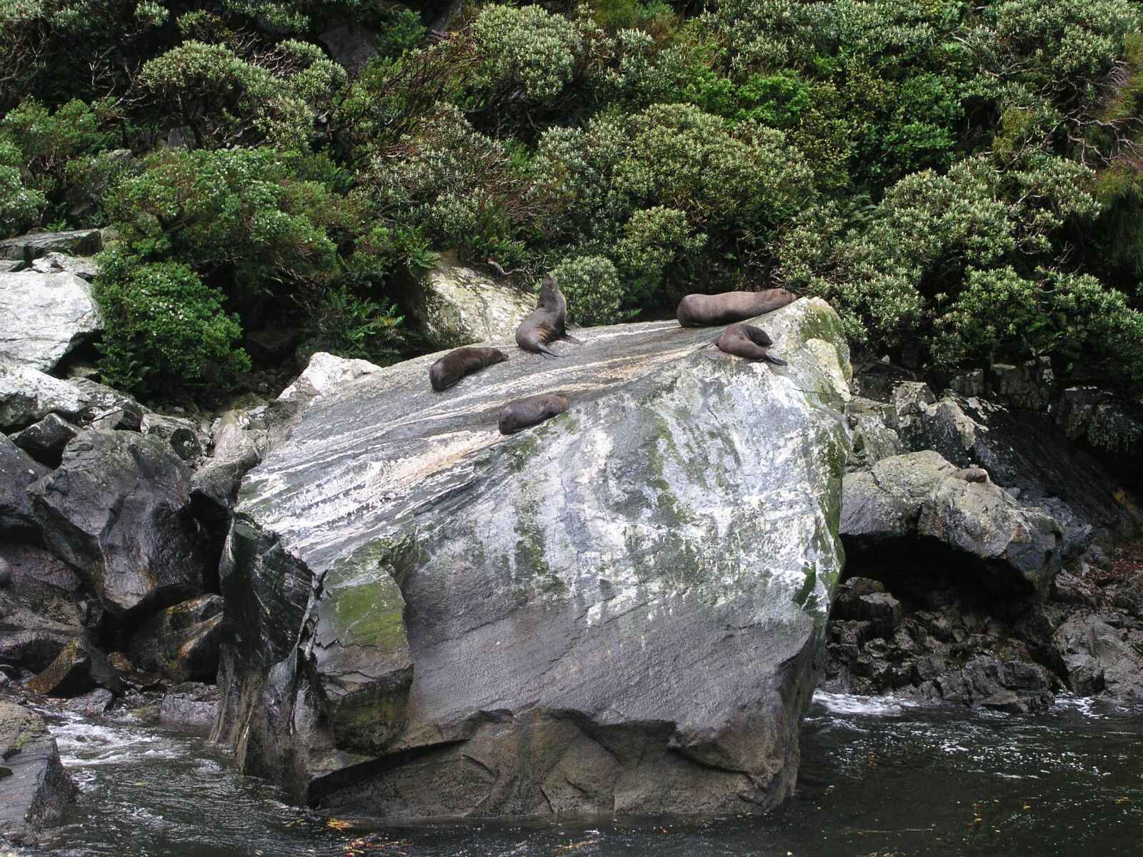 Olympus C5050Z sample photo. New zealand, new, zealand photography