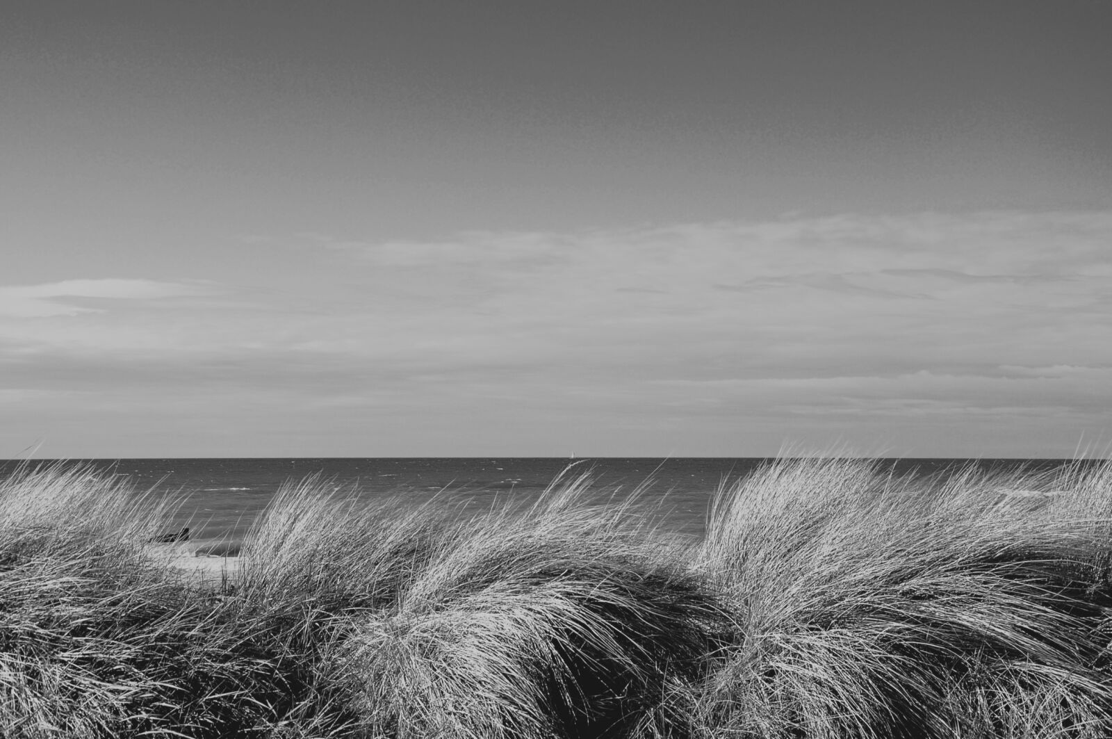 Nikon D90 sample photo. Sea, summer, landscape photography