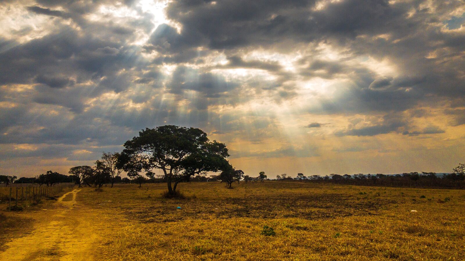 iPhone 8 back camera 3.99mm f/1.8 sample photo. Landscape, sky, clouds photography
