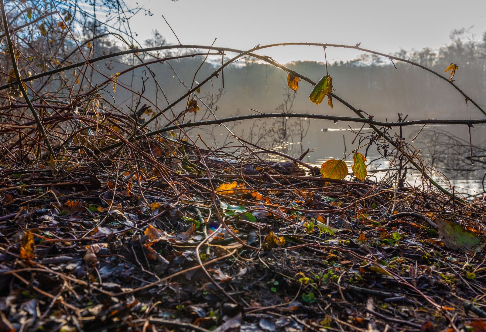 Nikon D750 sample photo. Sunrise, lake, water photography