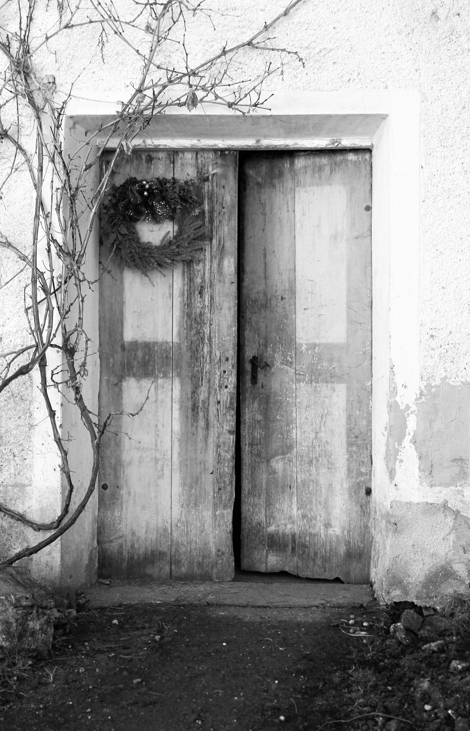 Canon EOS 550D (EOS Rebel T2i / EOS Kiss X4) sample photo. Input, door, come in photography
