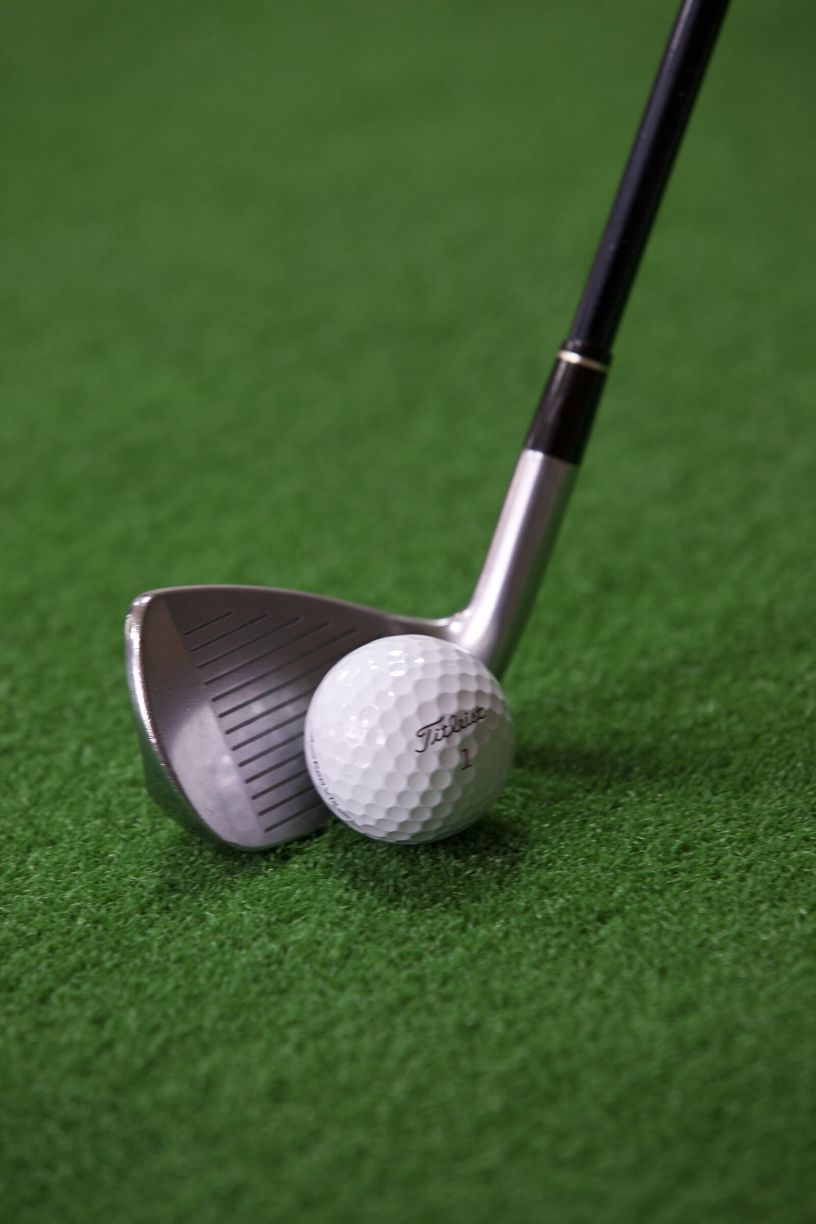 Canon EOS 5D sample photo. Golf, golf balls, exercise photography