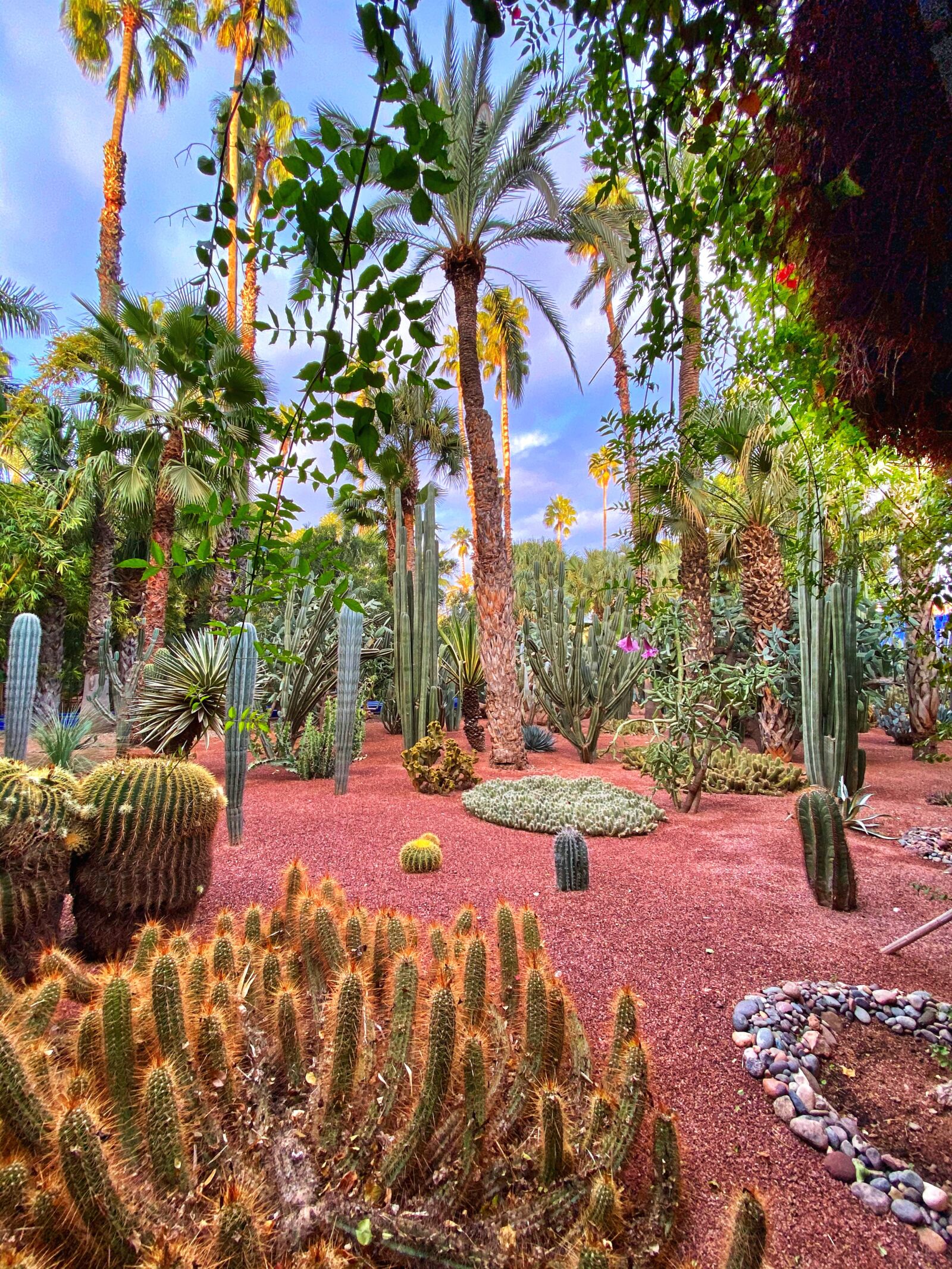Apple iPhone 11 Pro Max sample photo. Morocco, marrakesh, garden photography