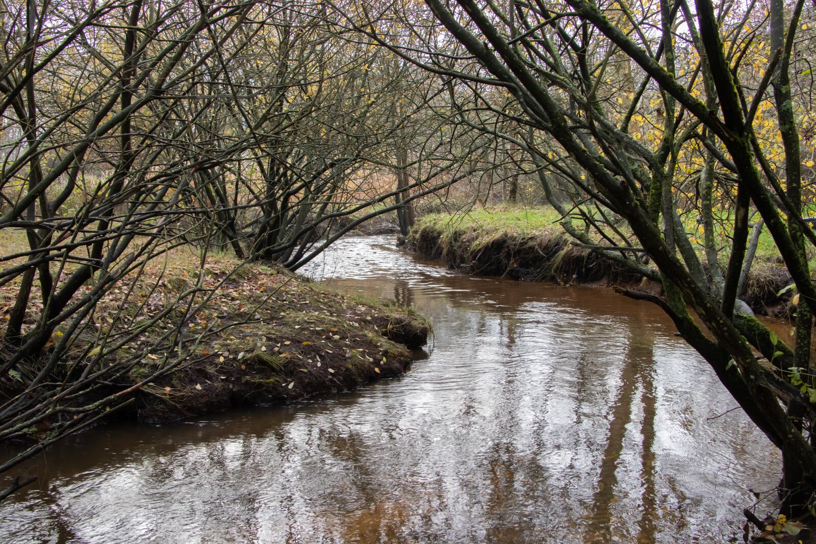 Canon EF-S 18-135mm F3.5-5.6 IS USM sample photo. Brook, streams, water photography