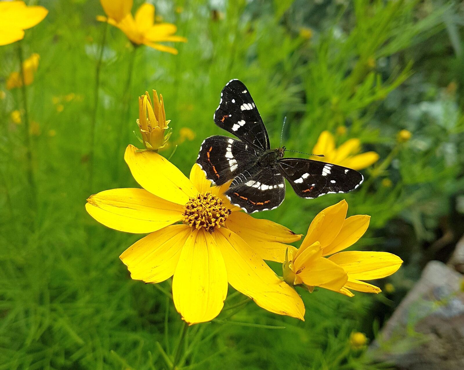 Samsung Galaxy S7 sample photo - VWDvYRAwNN - ExploreCams