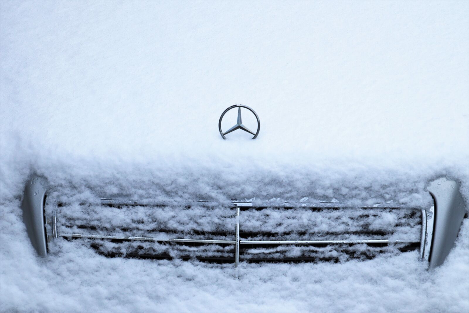 Canon EOS 80D sample photo. Daimler, mercedes, benz photography