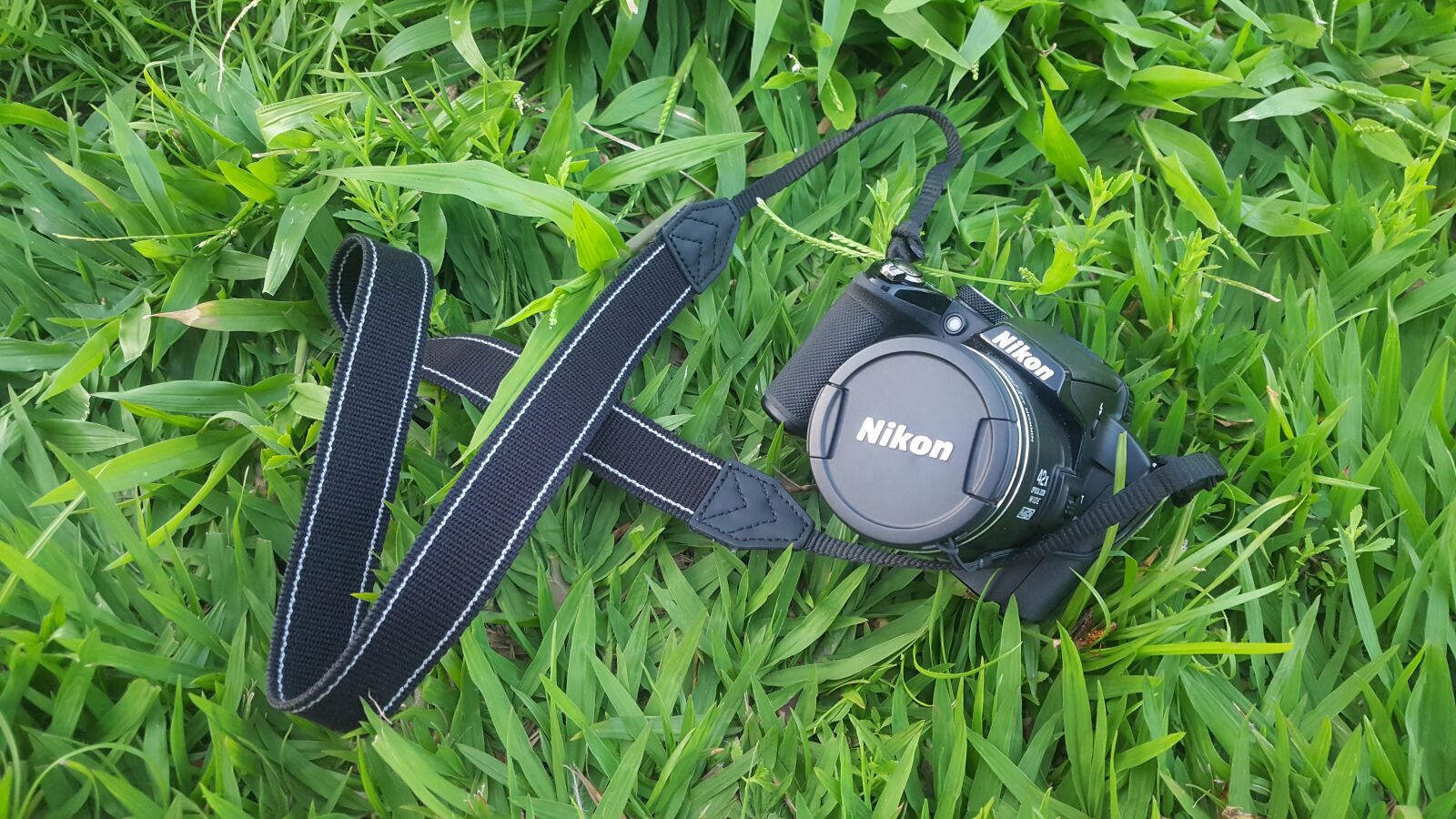 Samsung Galaxy S6 sample photo. Camera, nikon, grass photography