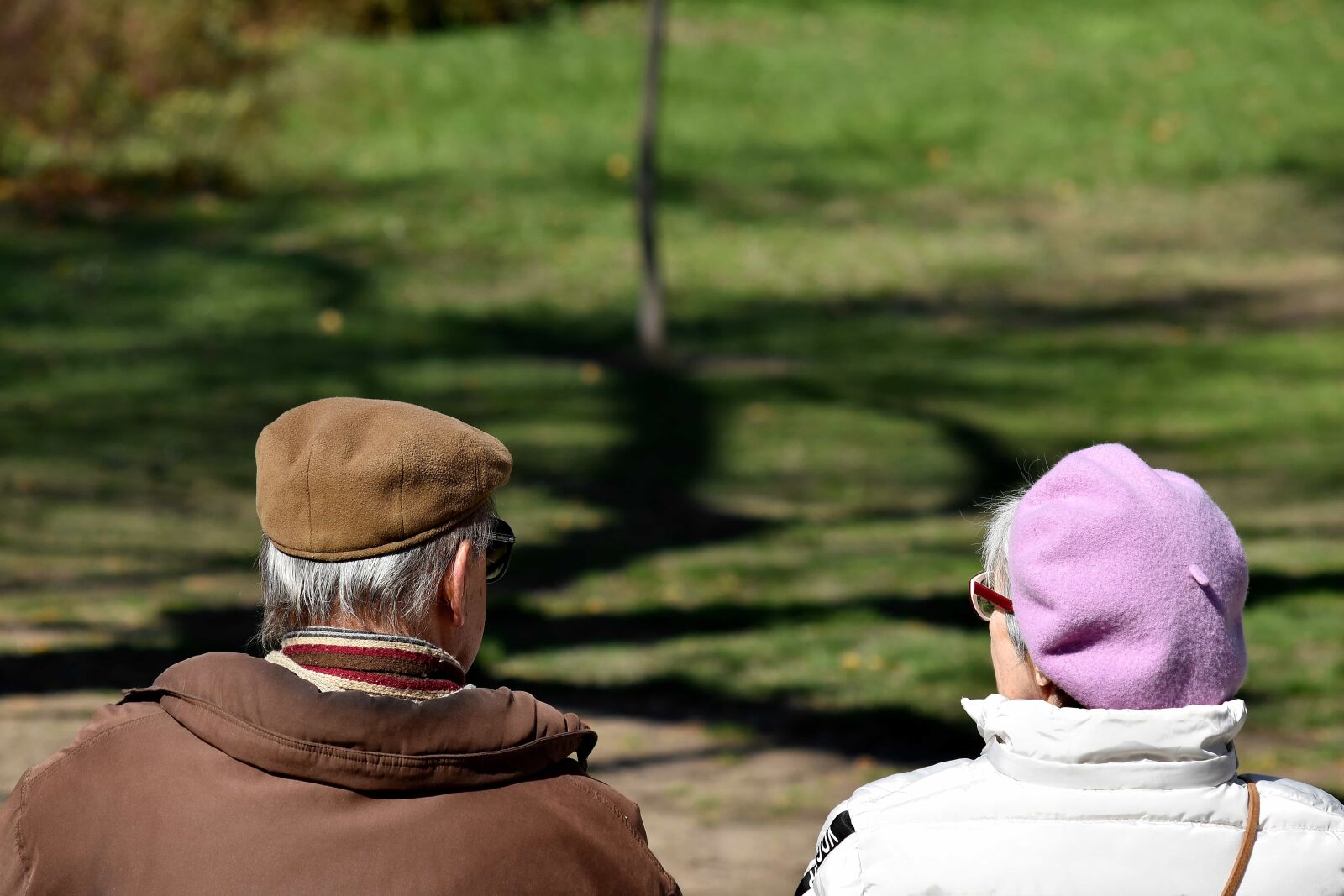 Nikon D5500 sample photo. Couple, enjoyment, grandfather, grandmother photography