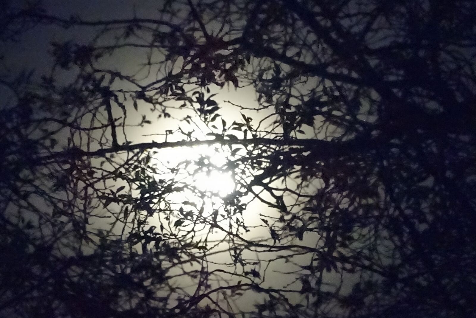 Sony Cyber-shot DSC-HX400V sample photo. Moon, night, darkness photography