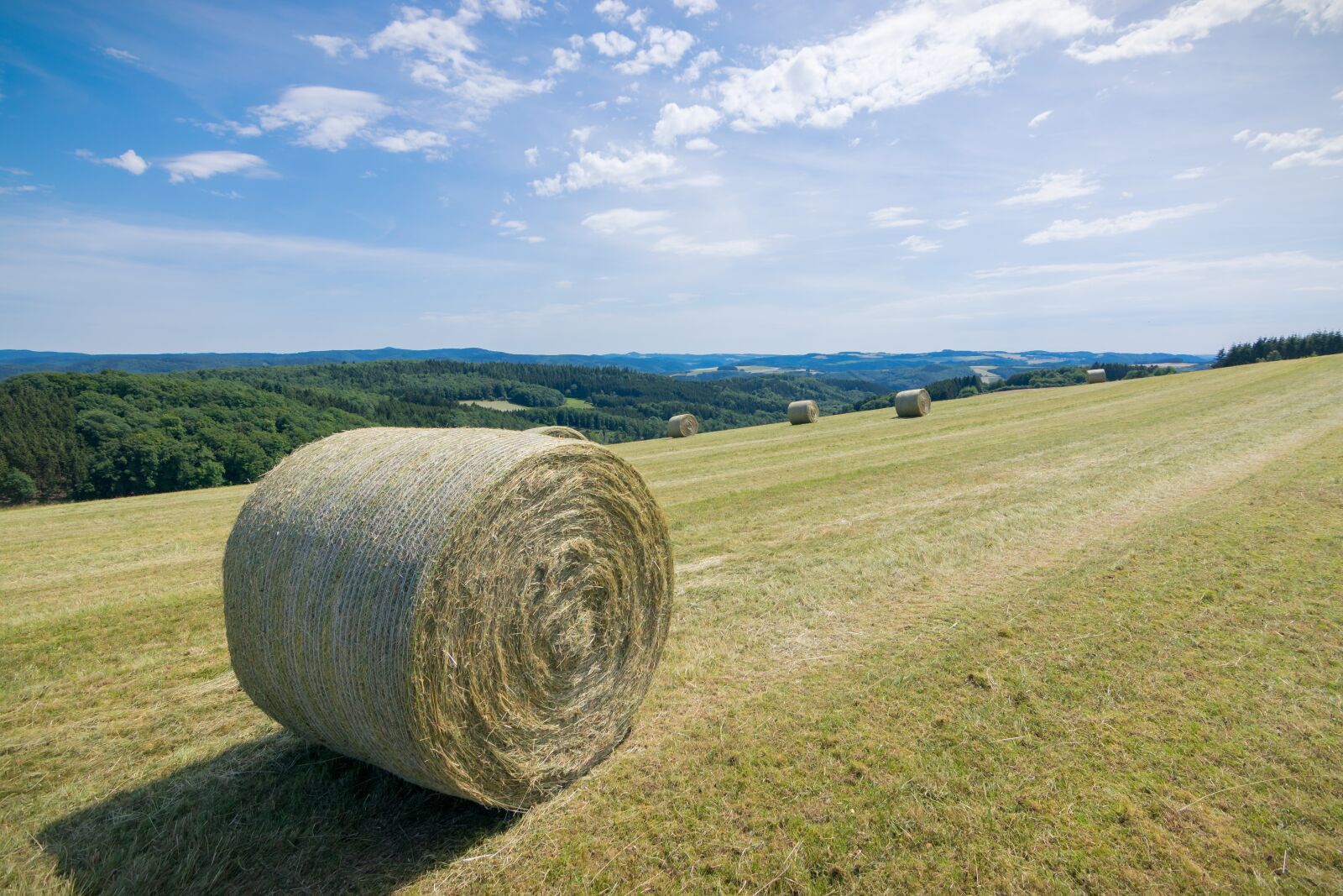 Nikon D5300 sample photo. Hay bales, sky, field photography