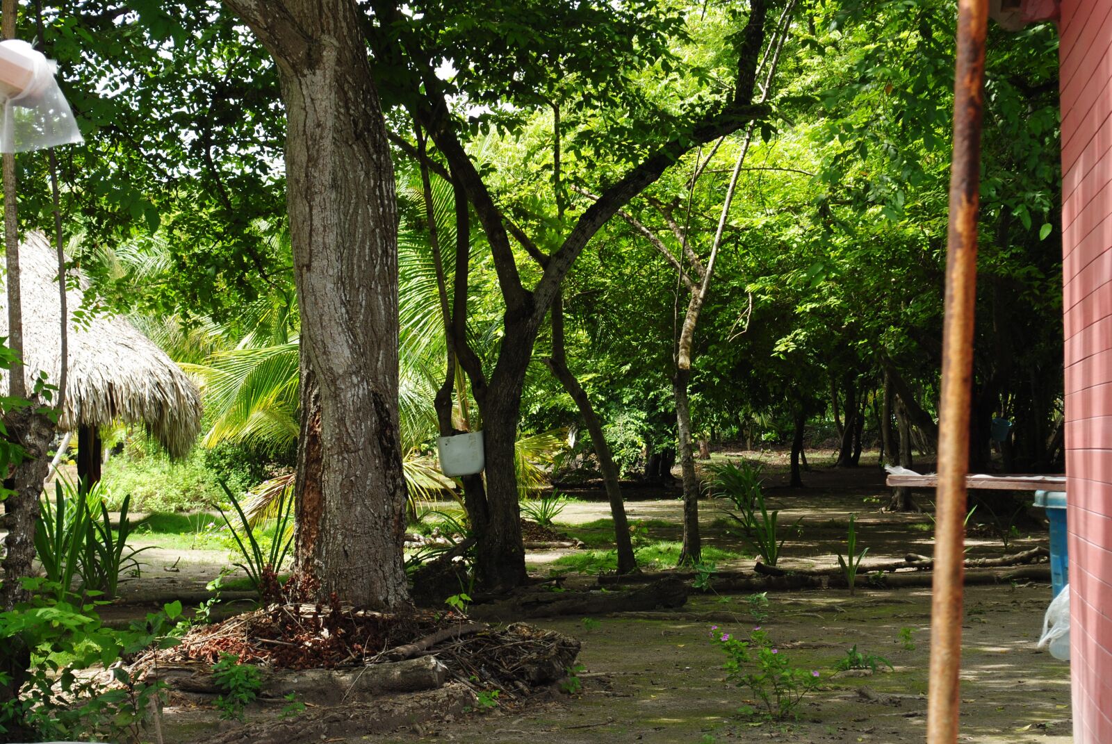 Nikon D3000 sample photo. Landscape, natural, san andr photography