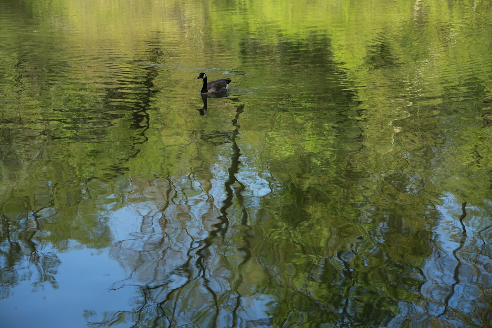 Canon EOS 6D + Canon EF 24-105mm F4L IS USM sample photo. The body of water photography