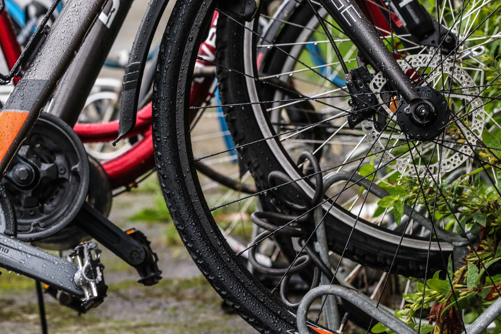 Canon EOS 7D Mark II sample photo. Bicycle, bike, wheels photography