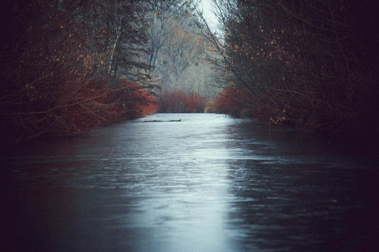 Canon EOS 6D sample photo. River, ice, channel photography