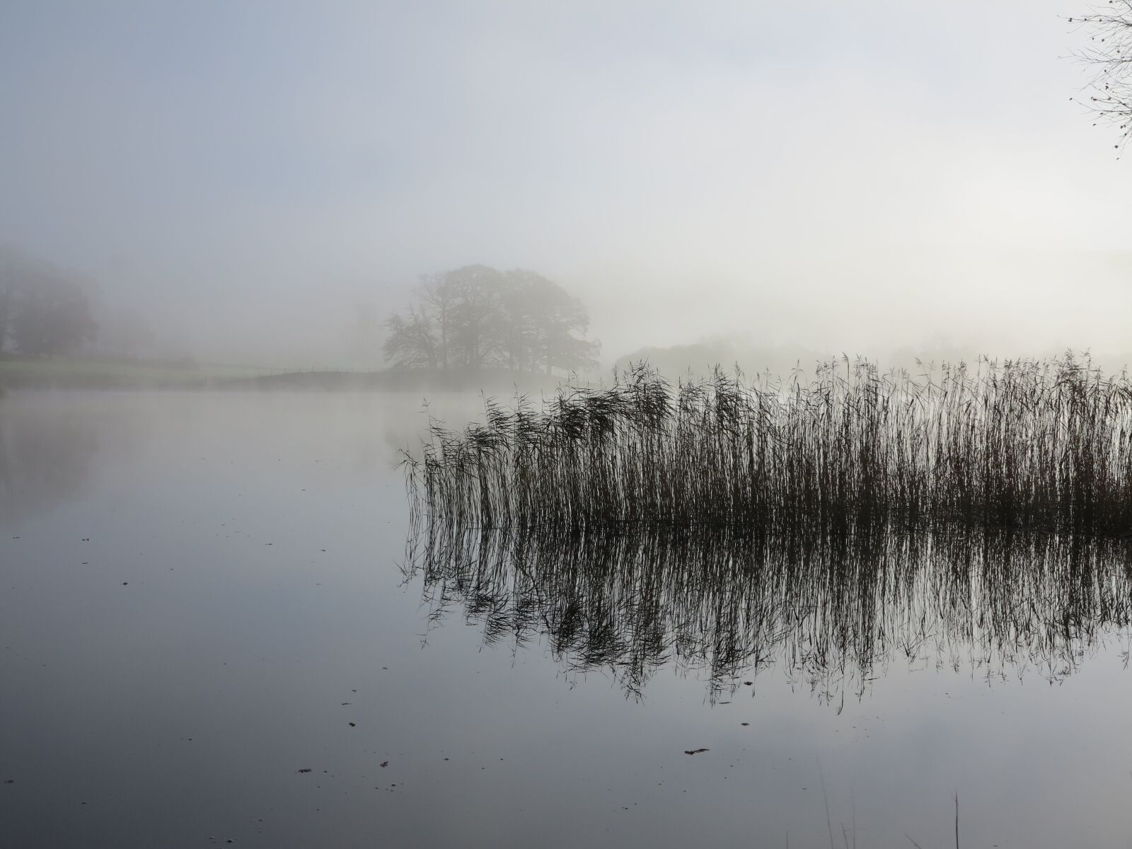 Canon PowerShot G1 X sample photo. Esthwaite, lake, district photography