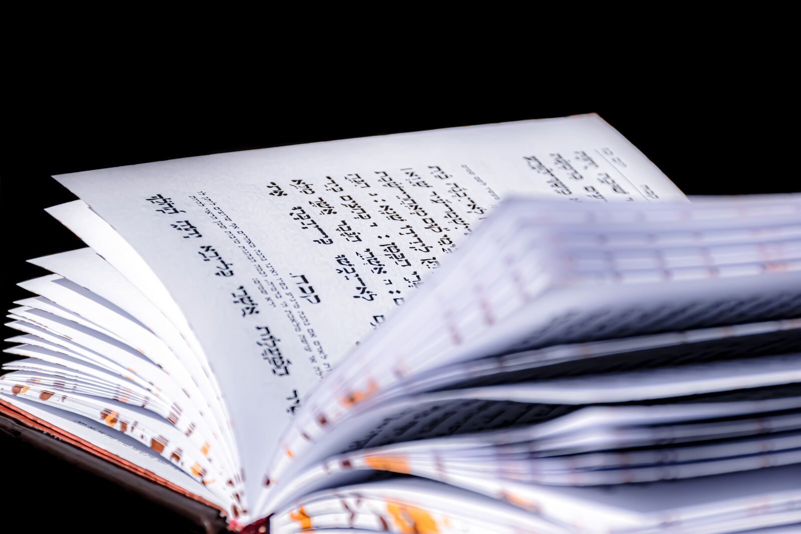 Nikon D5600 sample photo. Book day, siddur, prayer photography