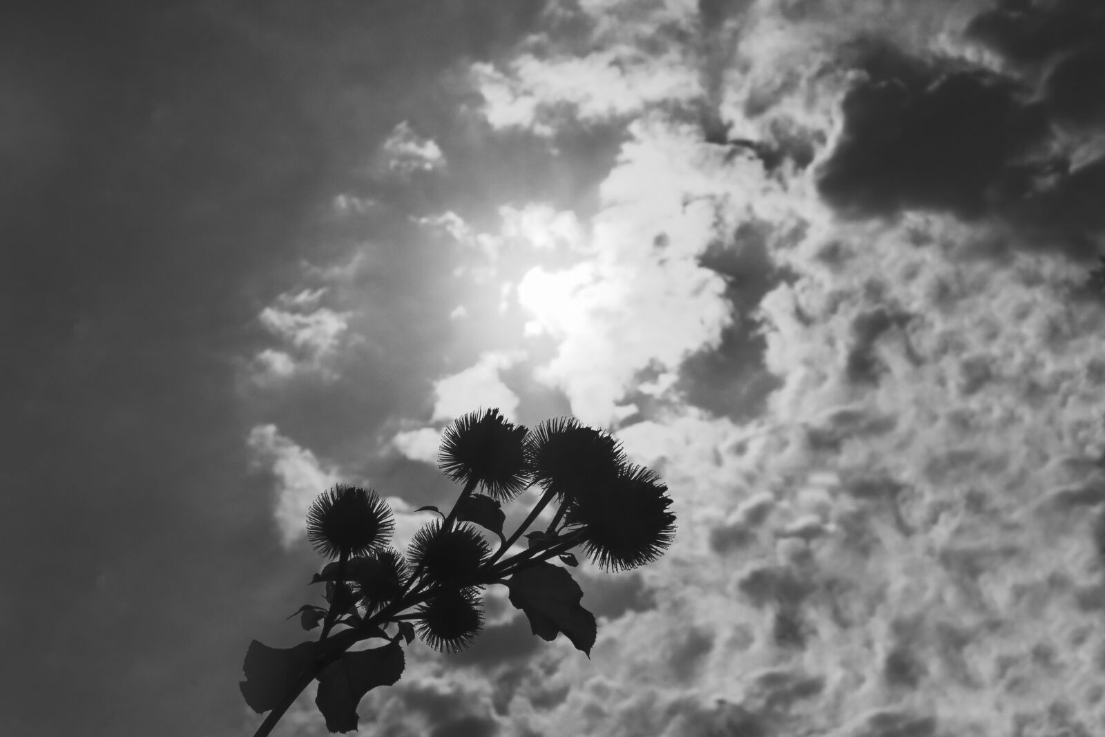 24-200mm F2.8 sample photo. Heat, clouds, sky photography