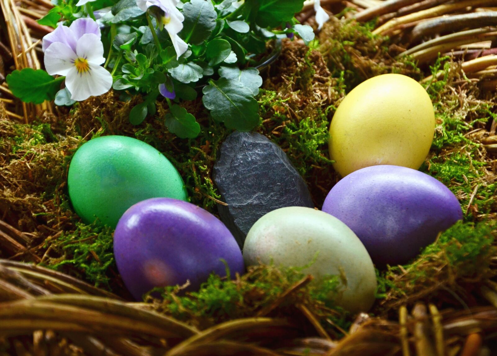 Nikon D5100 sample photo. Flower, egg, easter, nest photography