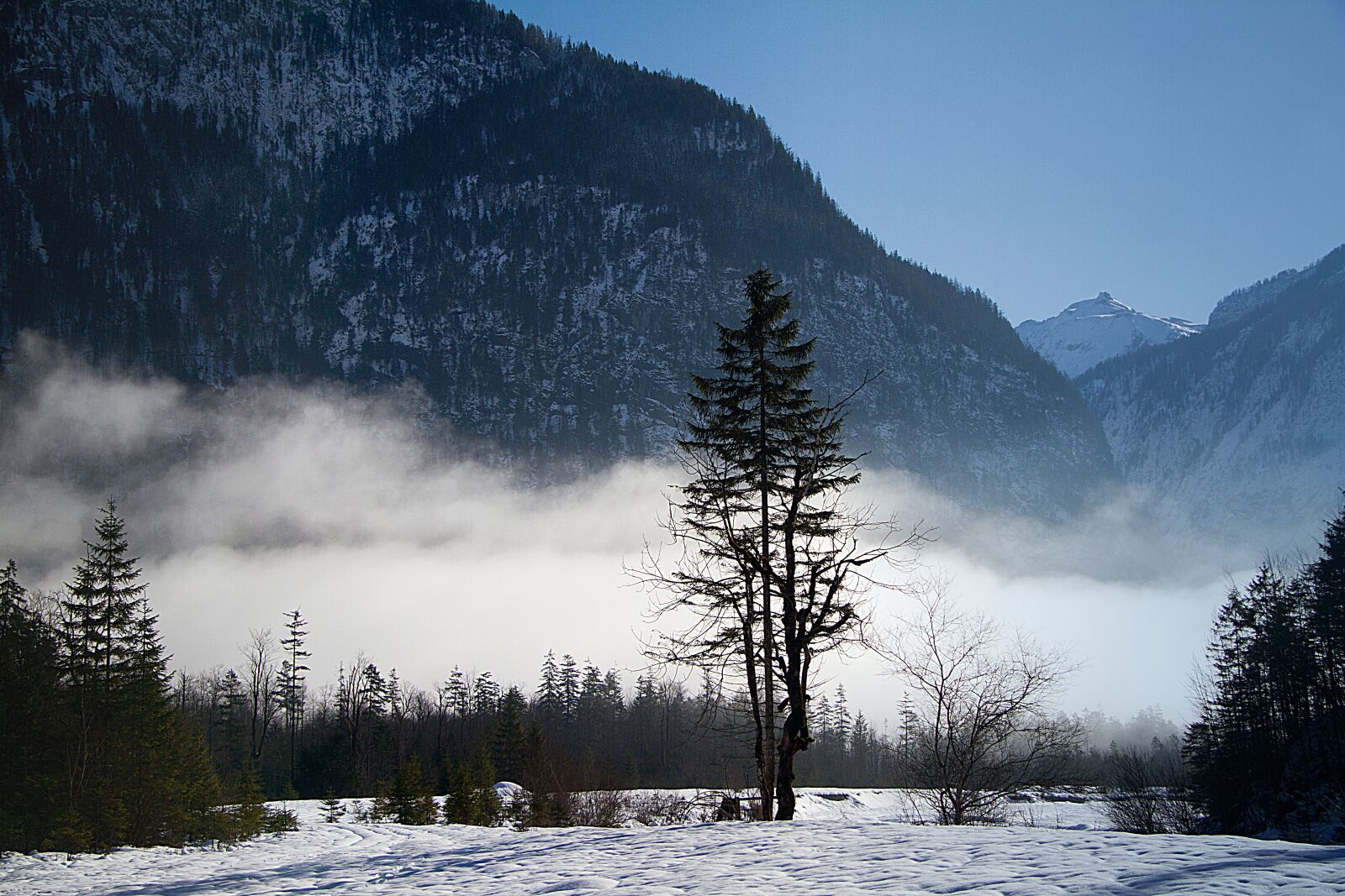 Canon EOS 7D sample photo. King lake, bartholom st photography