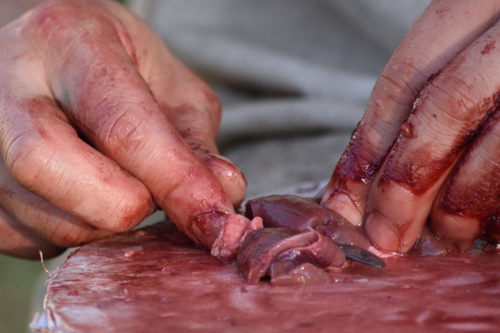 Nikon D7200 sample photo. Cutting, meat, hands photography