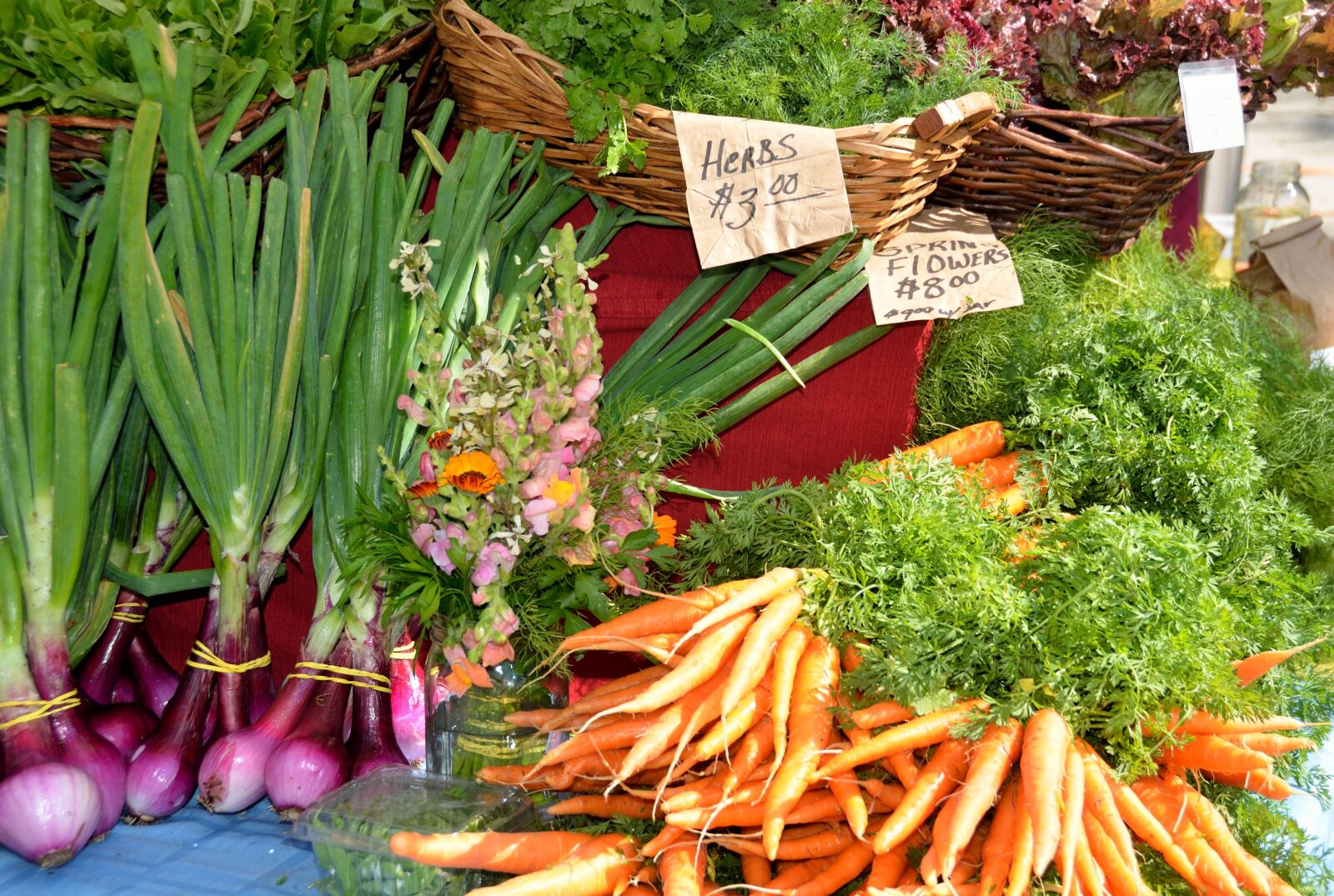 Nikon D7000 sample photo. Carrots, for sale, buy photography