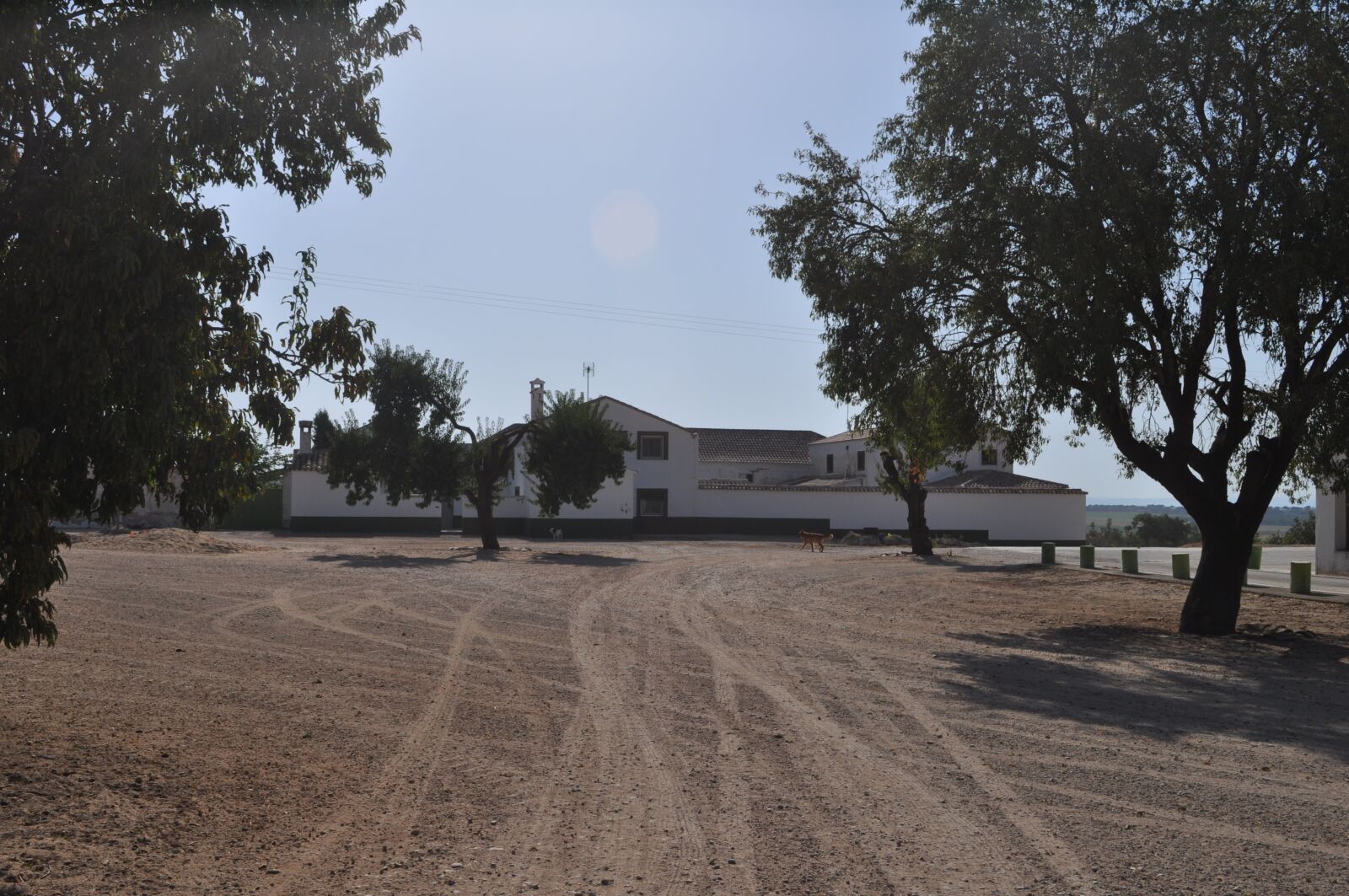Nikon D5000 sample photo. Village, field, house photography