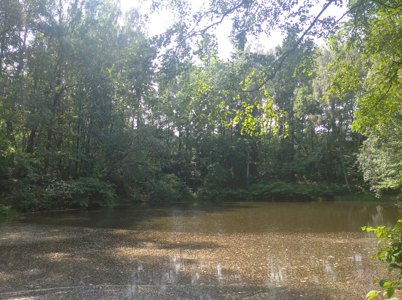 Xiaomi Redmi 8 sample photo