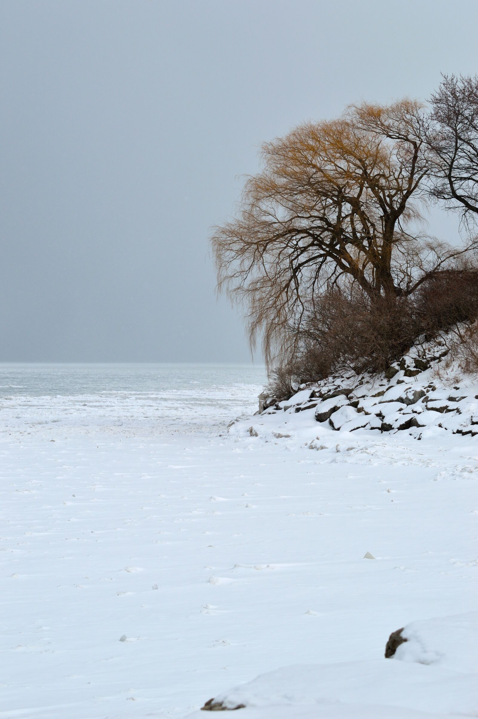 Nikon D3200 sample photo. Winter shore, ice, snow photography