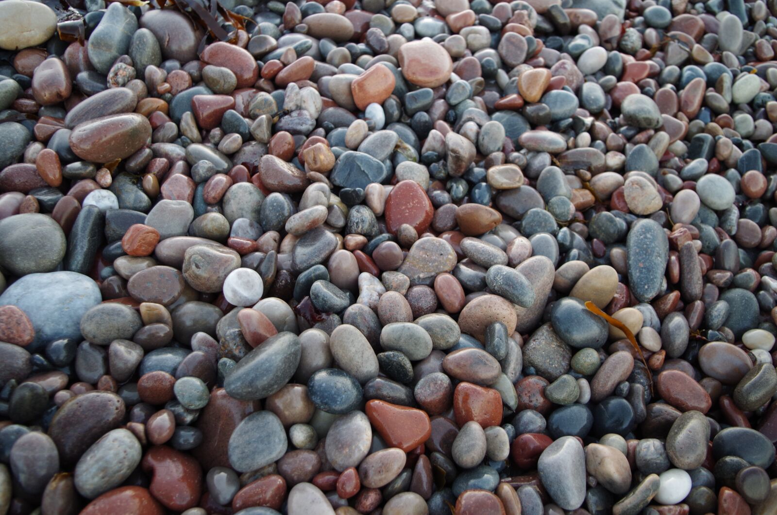 Pentax K-50 sample photo. Pebble, beach, stones photography
