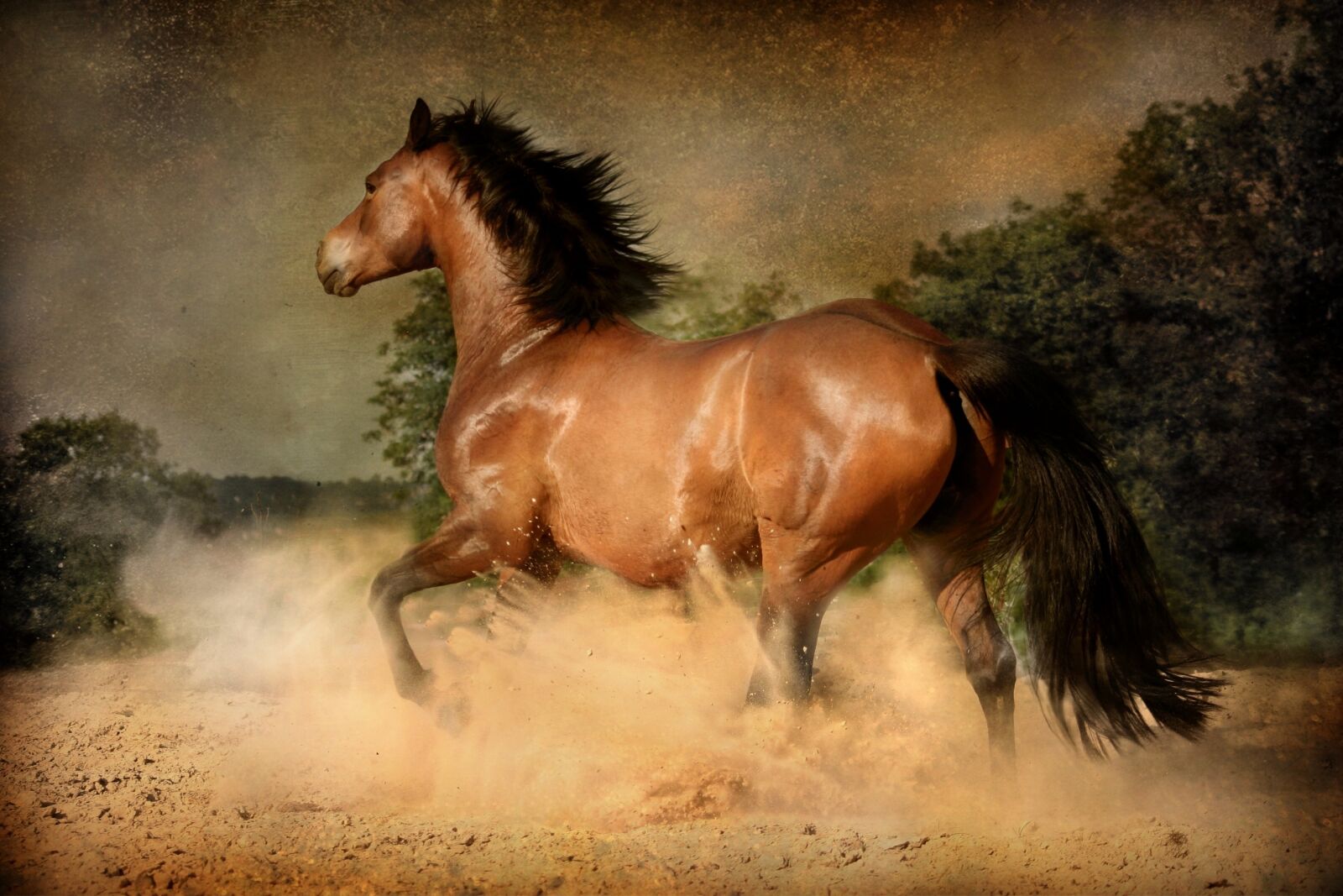 Canon EOS 350D (EOS Digital Rebel XT / EOS Kiss Digital N) sample photo. Mammal, horse, equestrian photography