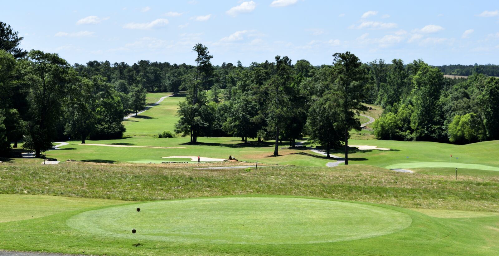 Nikon D3300 sample photo. Golf, grass, course photography