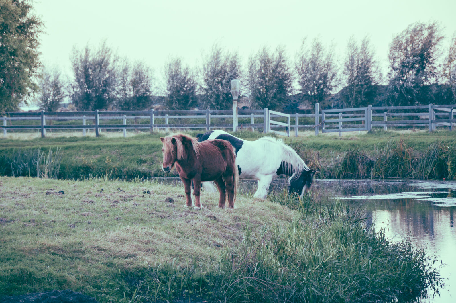 Nikon D3200 sample photo