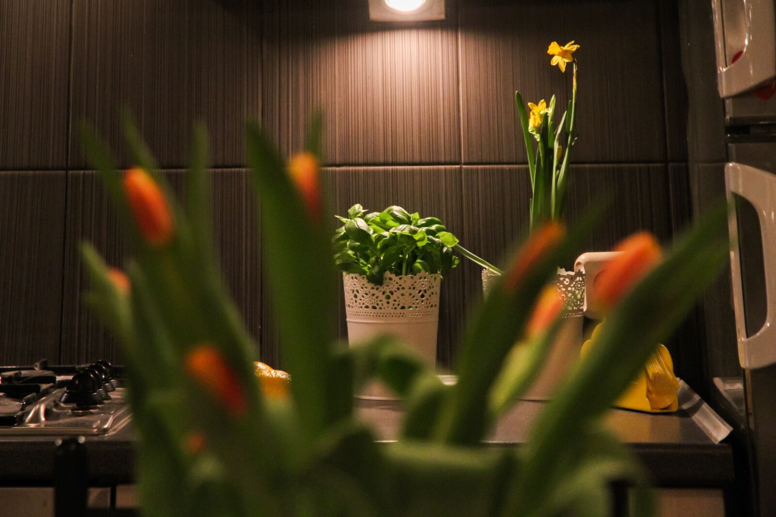 Canon EOS 7D sample photo. Apartment, flowers, tulips photography