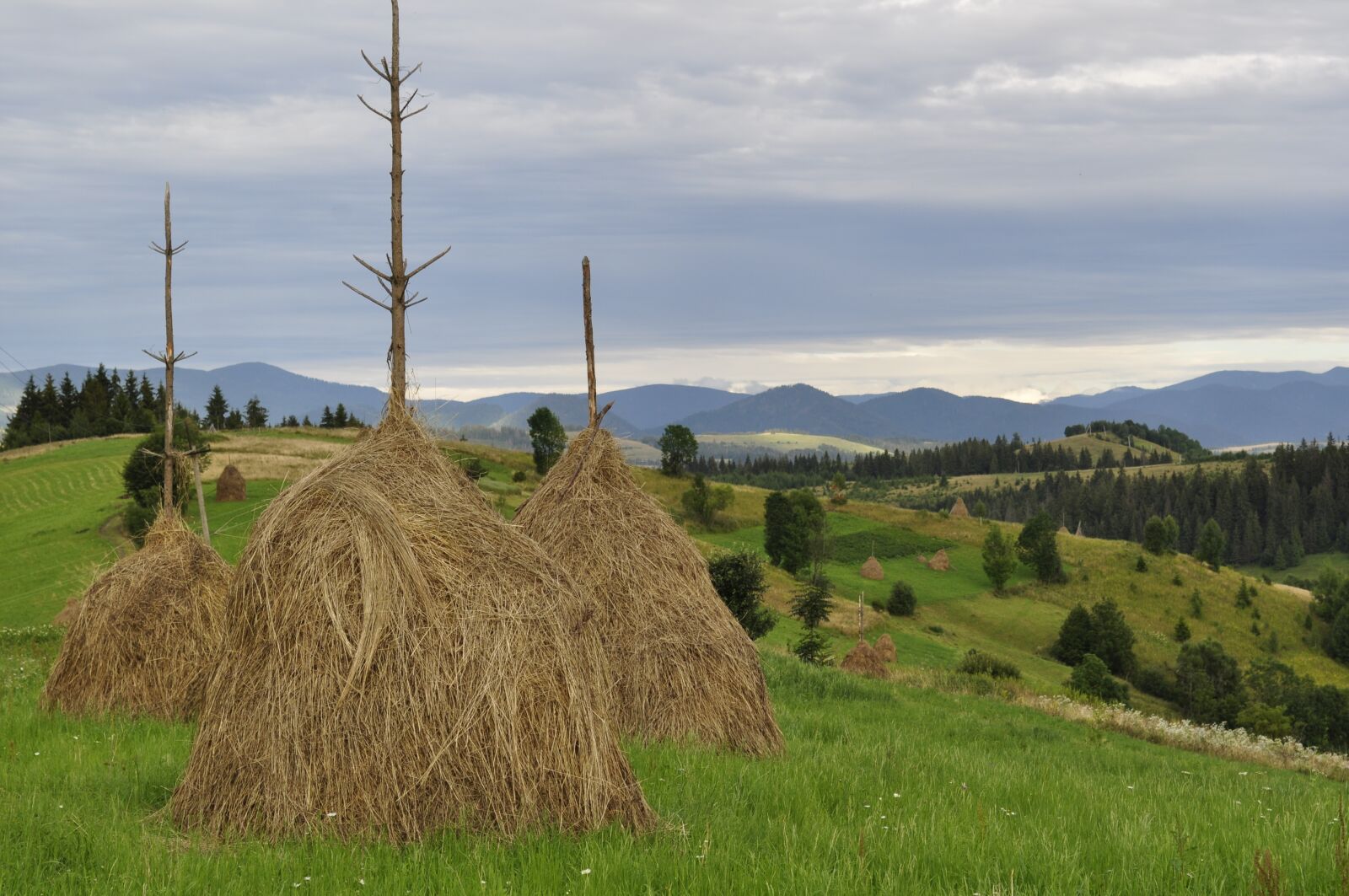Nikon D5000 sample photo. Hay, summer, the carpathians photography