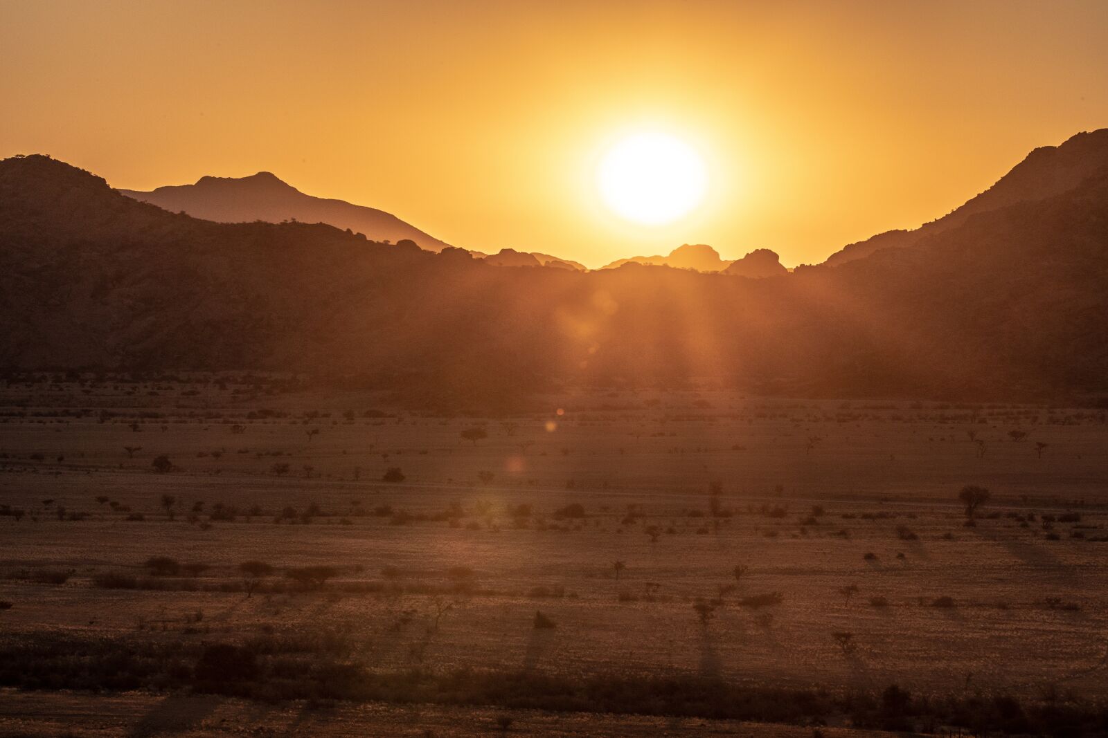 150-600mm F5-6.3 DG OS HSM | Contemporary 015 sample photo. Sunset, steppe, desert photography