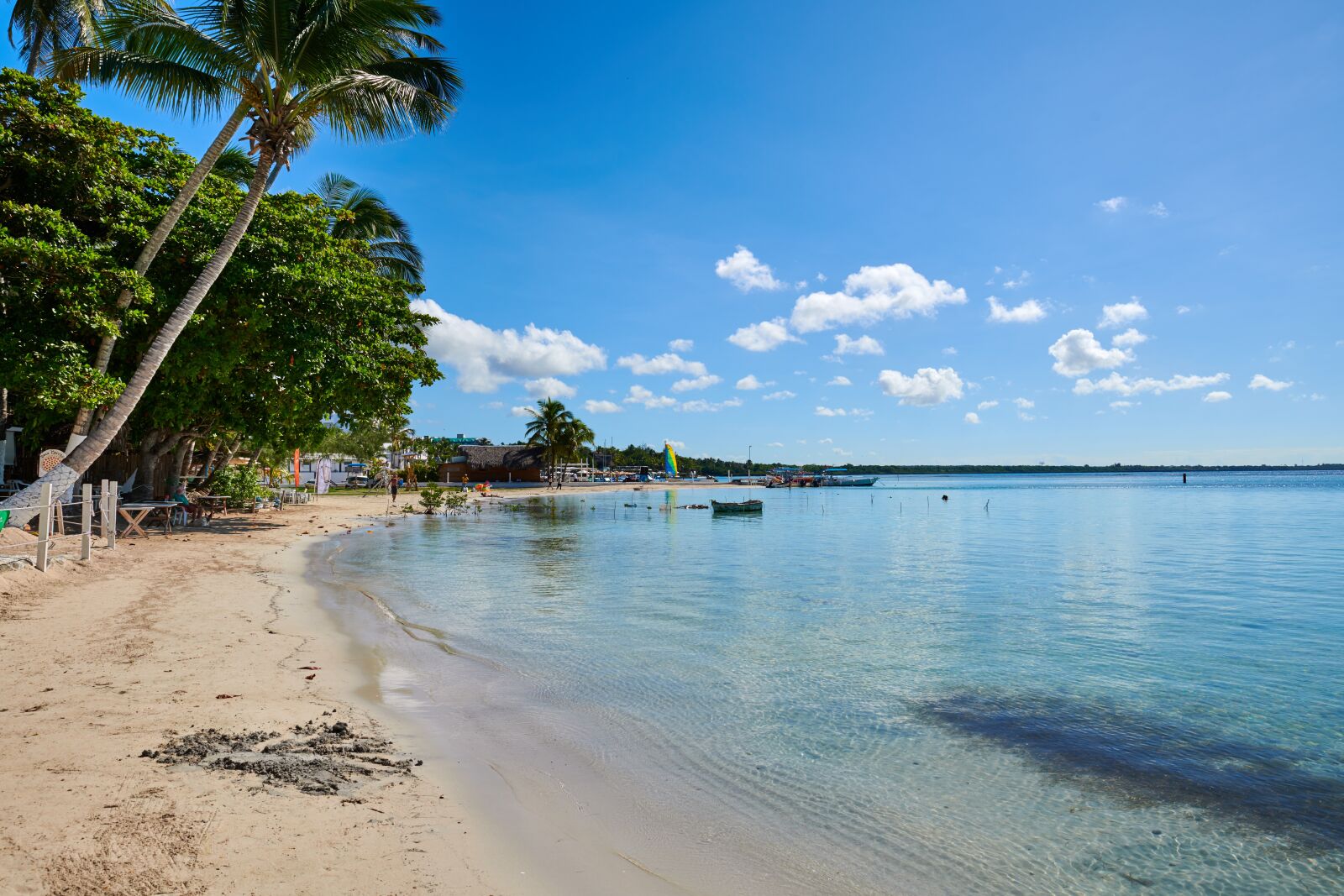 Nikon D850 sample photo. Tropical, dominican republic, beach photography