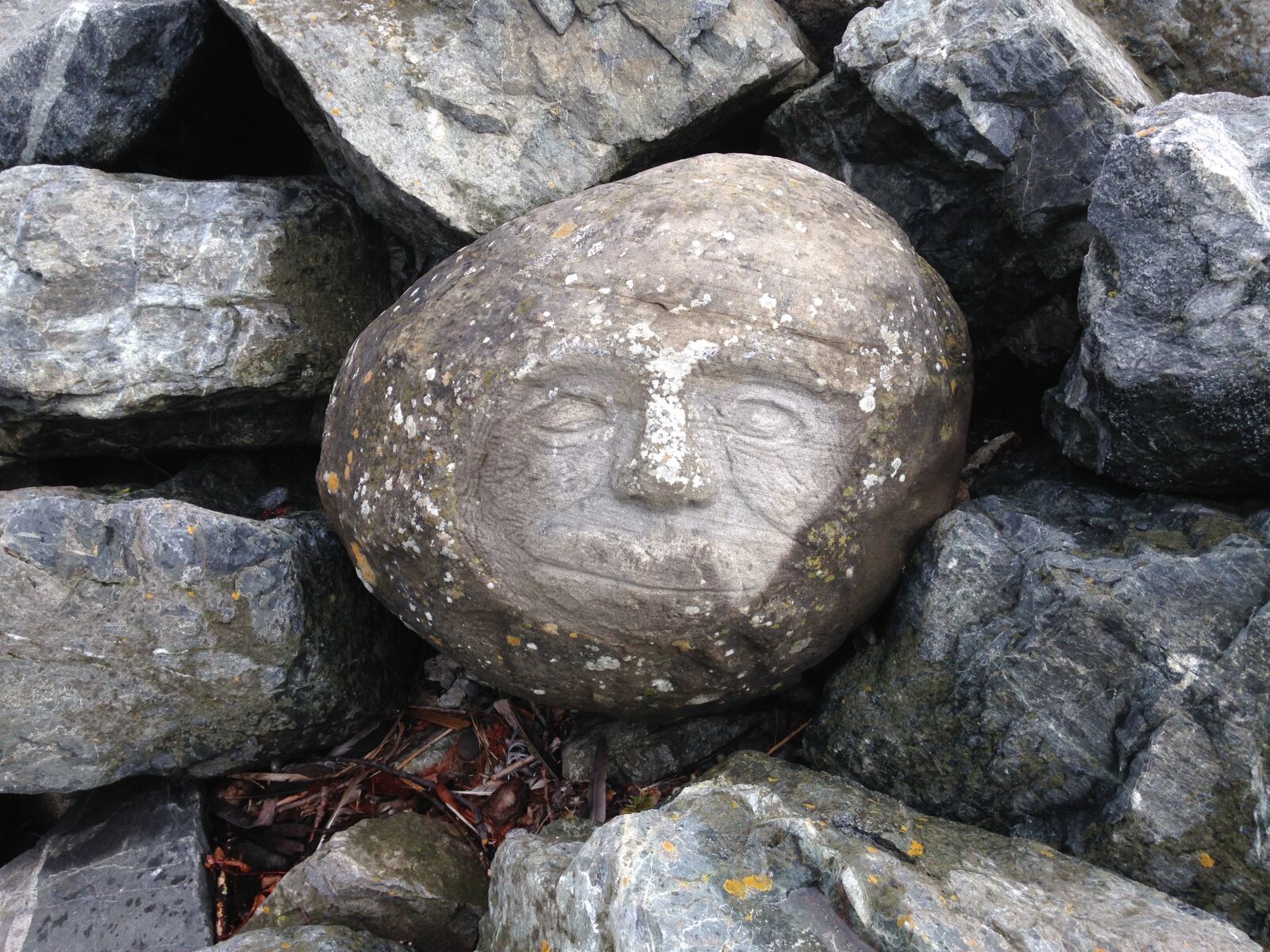 iPhone 5c back camera 4.12mm f/2.4 sample photo. Stone, british columbia, canada photography