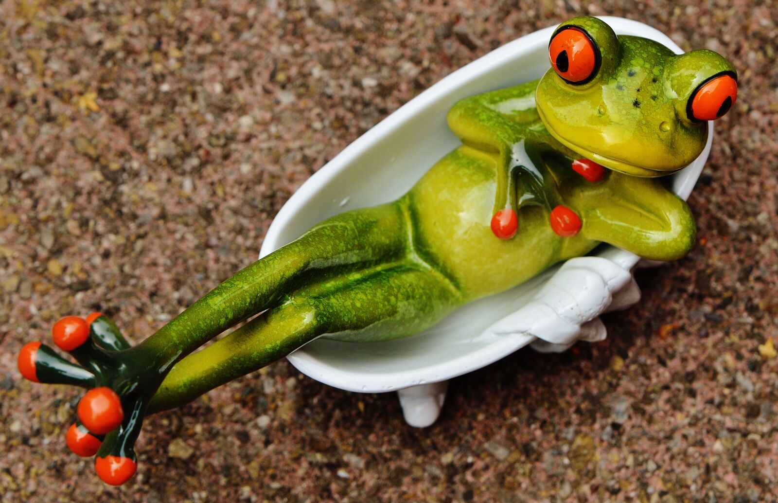 Nikon D3200 sample photo. Frog, funny, bath photography