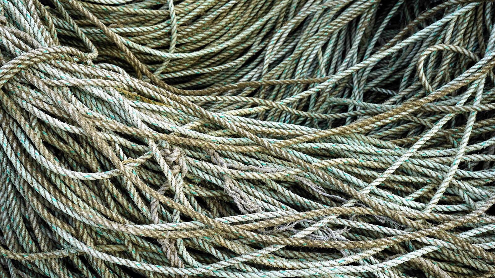 Sony a7 + Sony FE 28-70mm F3.5-5.6 OSS sample photo. Rope, tangle, nautical photography