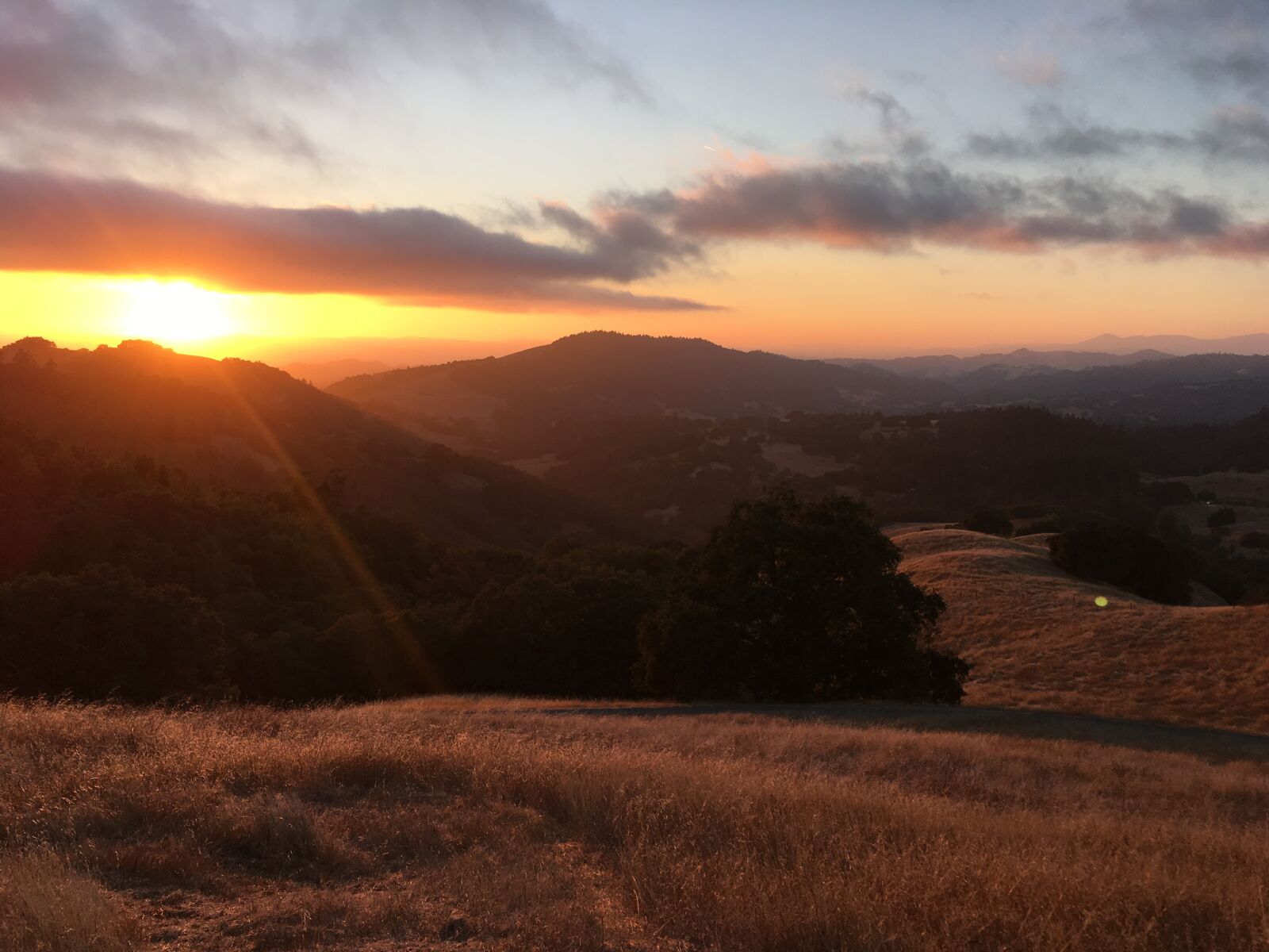 iPhone SE back camera 4.15mm f/2.2 sample photo. Mountains, wine, sunset photography