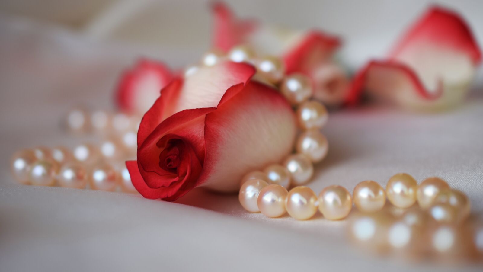 Nikon D5300 sample photo. Rose, pearls, wedding photography
